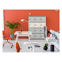 Locker standard spintelės